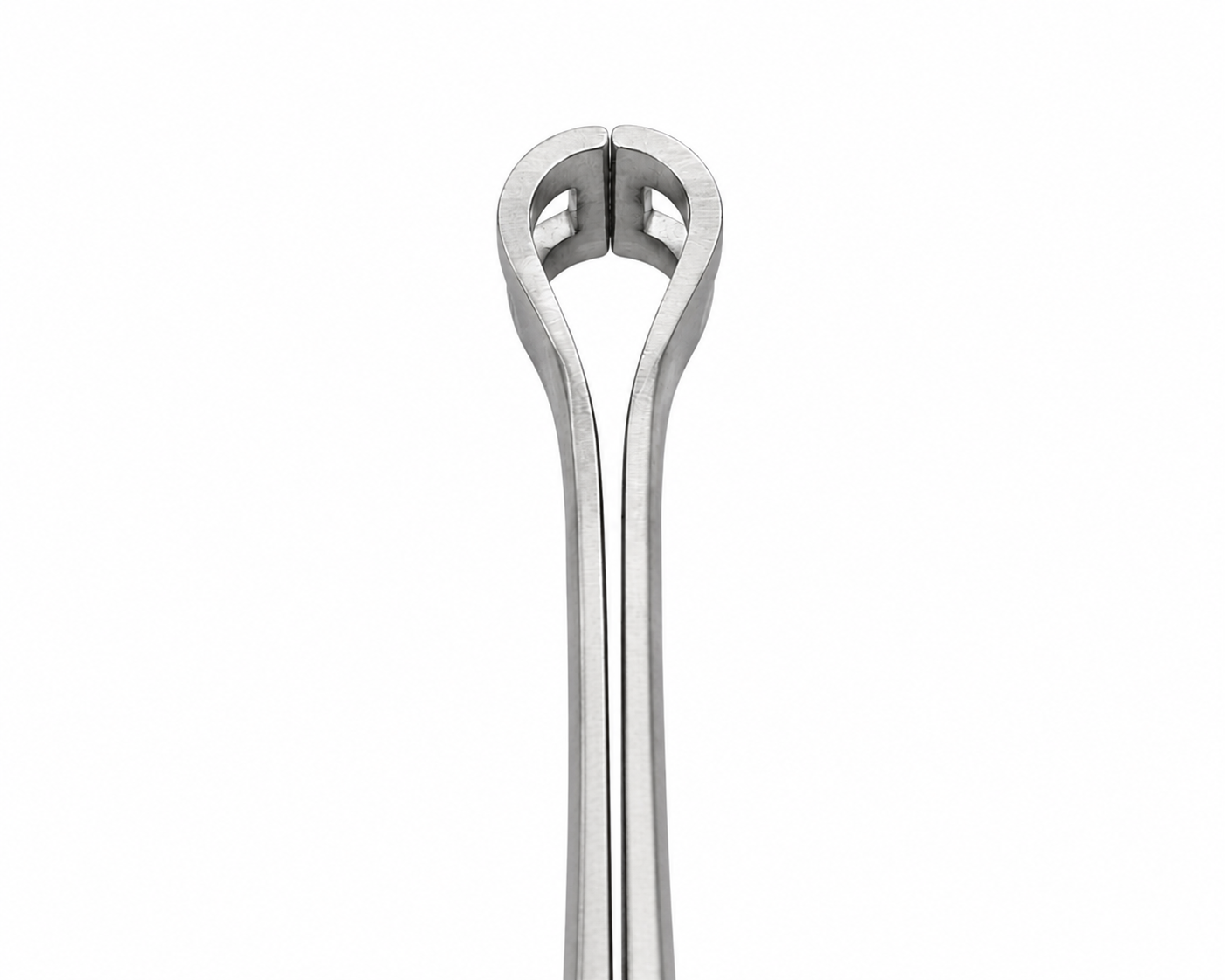Babcock Tissue Forceps - Image 2