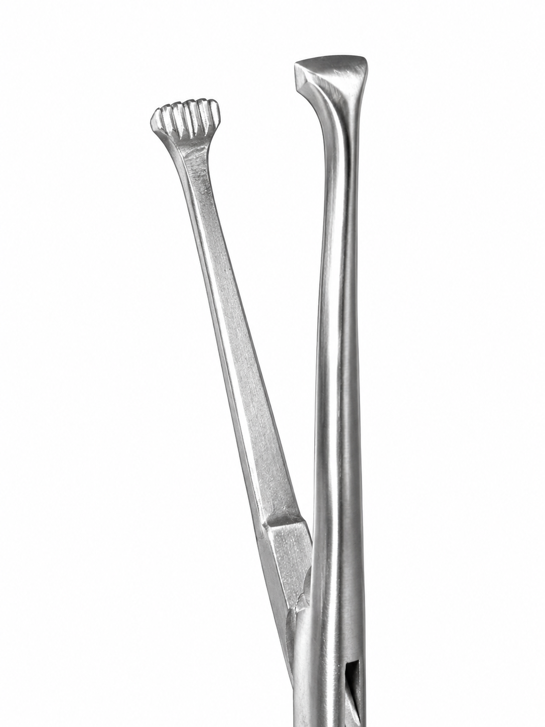 Allis Tissue Forceps - Image 2