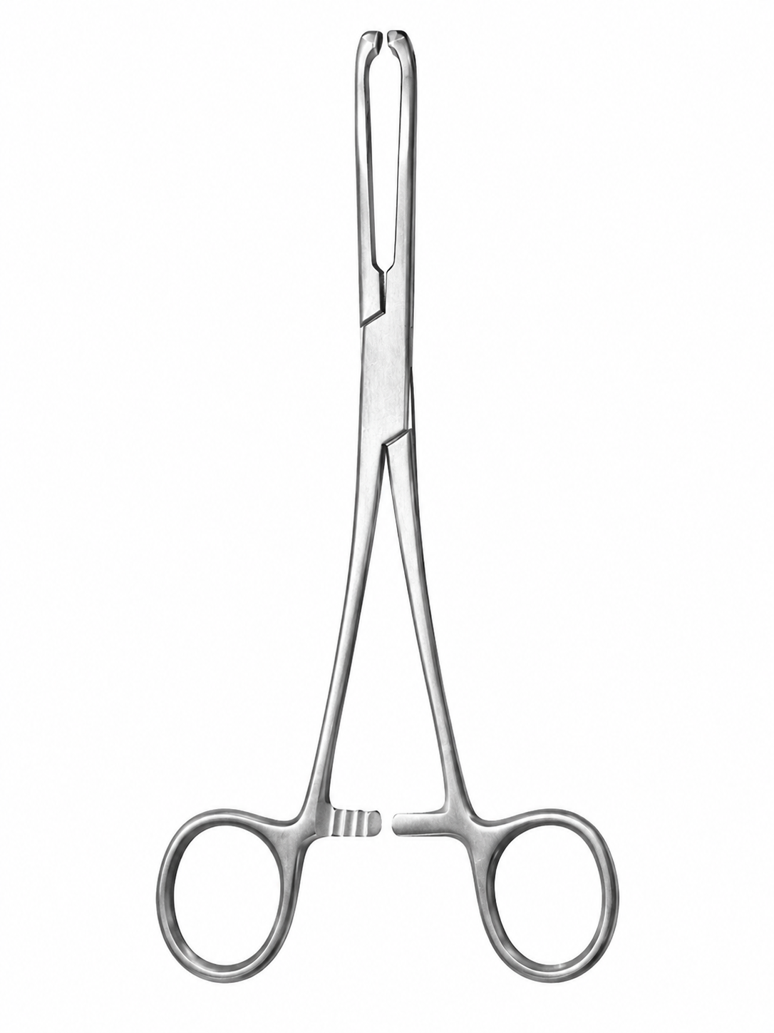 Allis Tissue Forceps