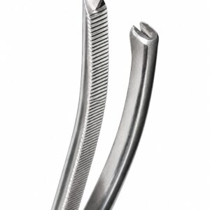 Lane Tissue Forceps