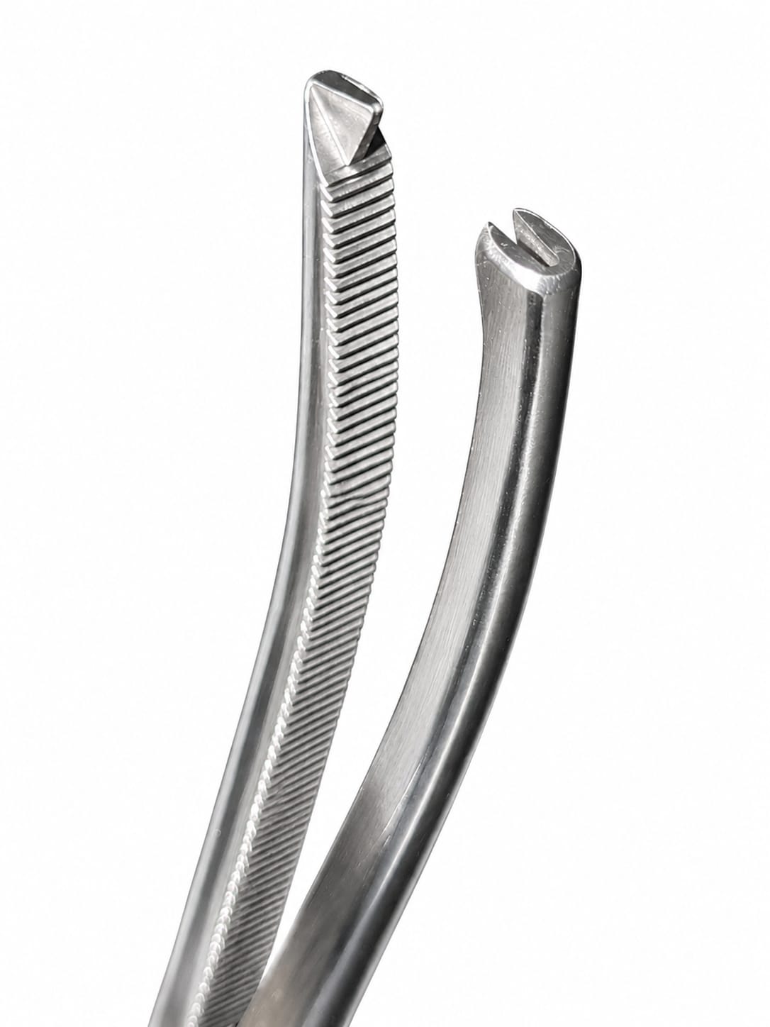 Lane Tissue Forceps