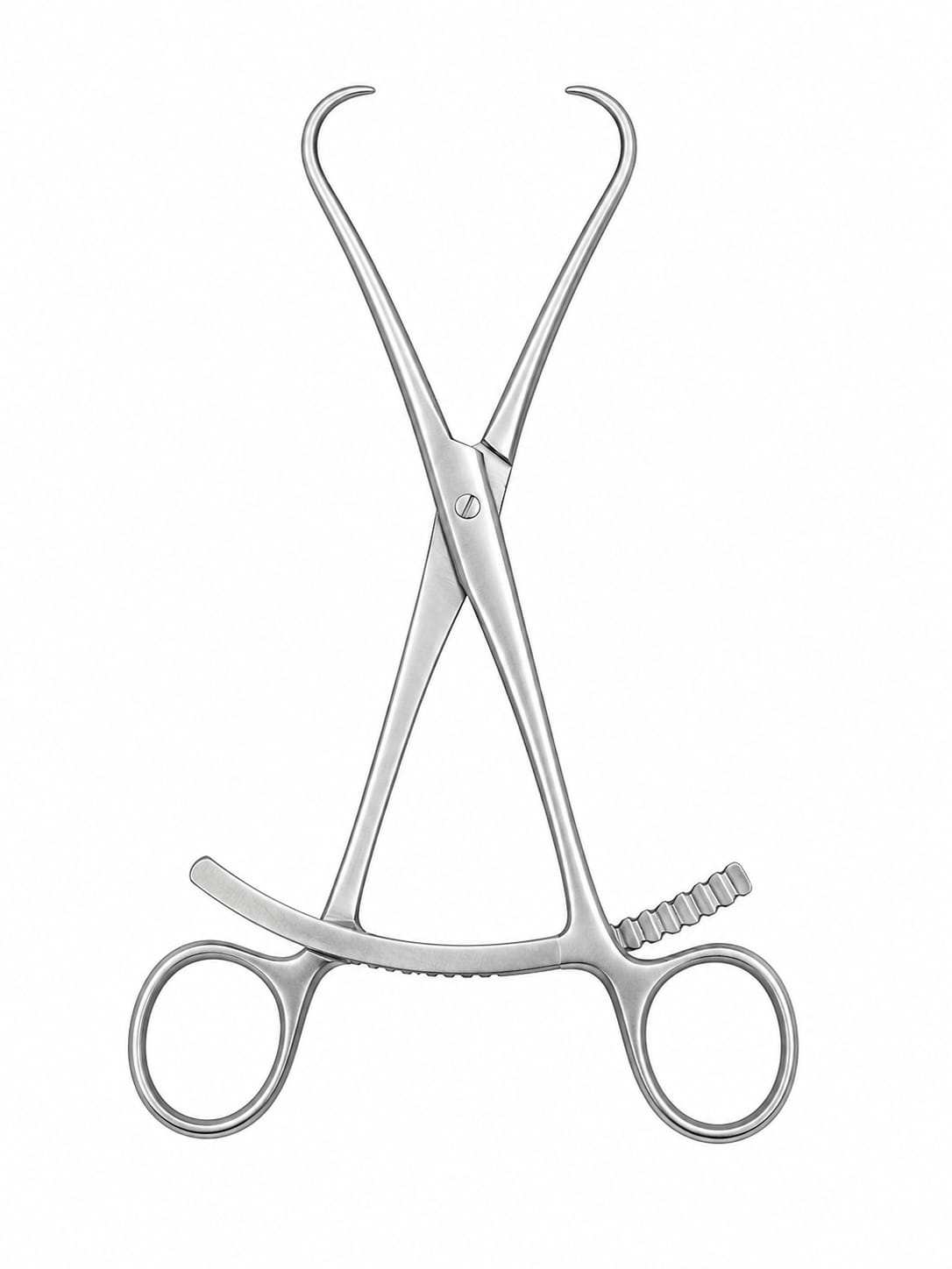 Bone holding Pointed